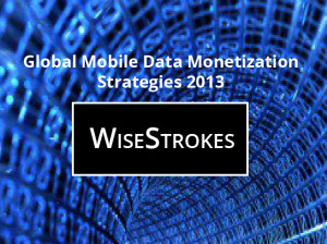 Global Mobile Data Monetization Strategies 2013