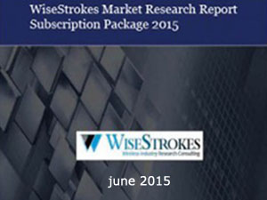 WiseStrokes Market Research Report Subscription Package 2017