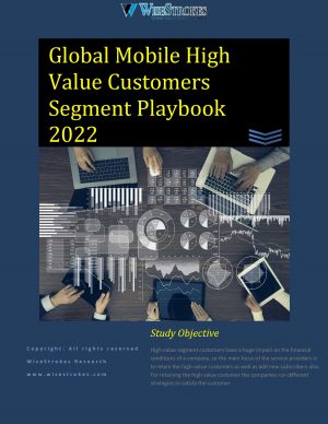 Global High Value Customers Segment Playbook 2022